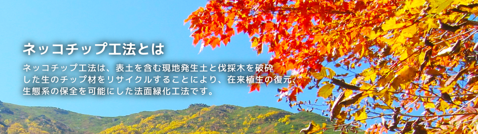ネッコチップ工法は、表土を含む現地発生土と伐採木を破砕
						した生のチップ材をリサイクルすることにより、在来植生の復元、
						生態系の保全を可能にした法面緑化工法です。